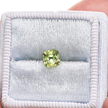 Cushion Cut Green 6.5mm/1.49ct Green Montana Sapphire Loose Gemstone Loose Gemstone by Nodeform